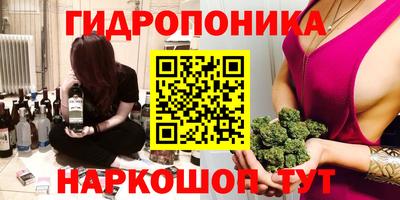 молекула духа Среднеуральск